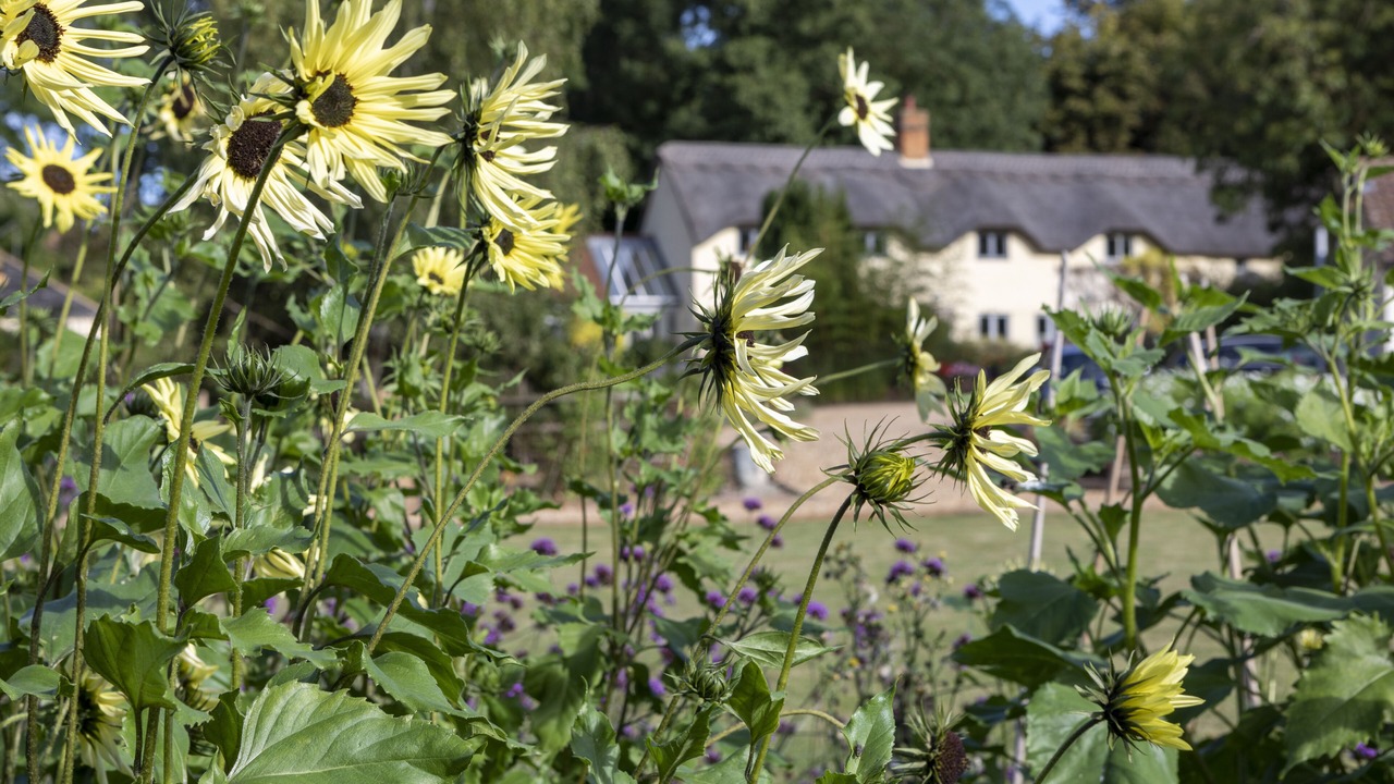 Photo of Outdoor in Great Horwood