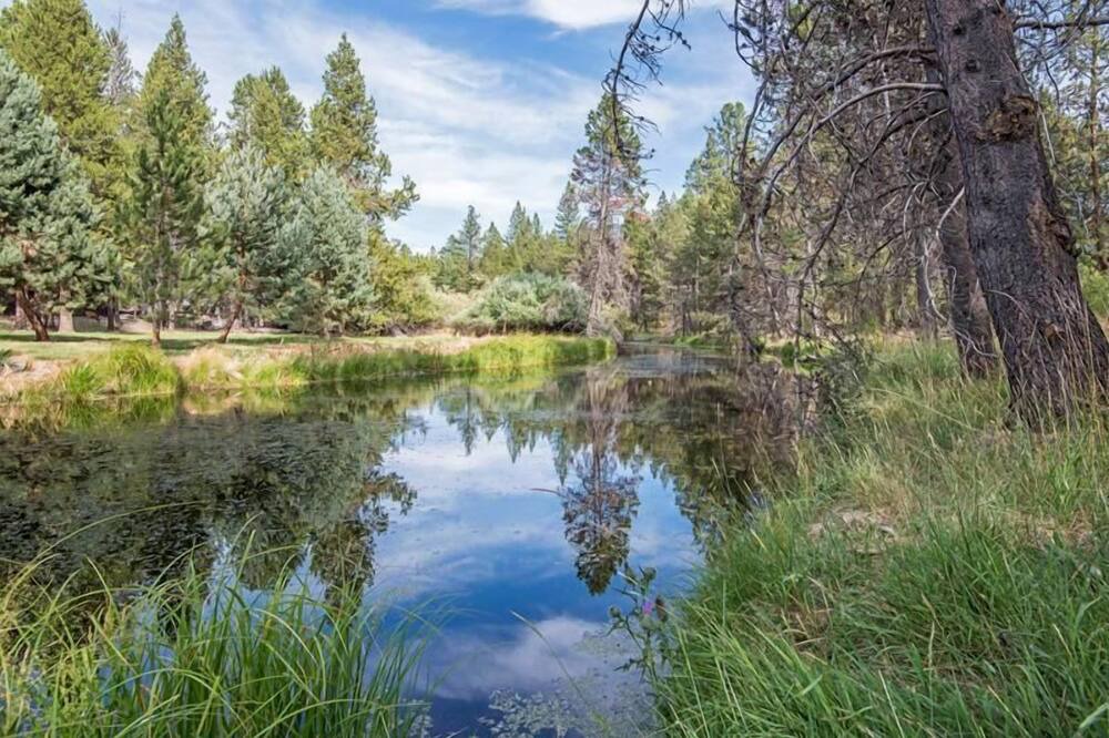 Photo of Outdoor in Three Rivers
