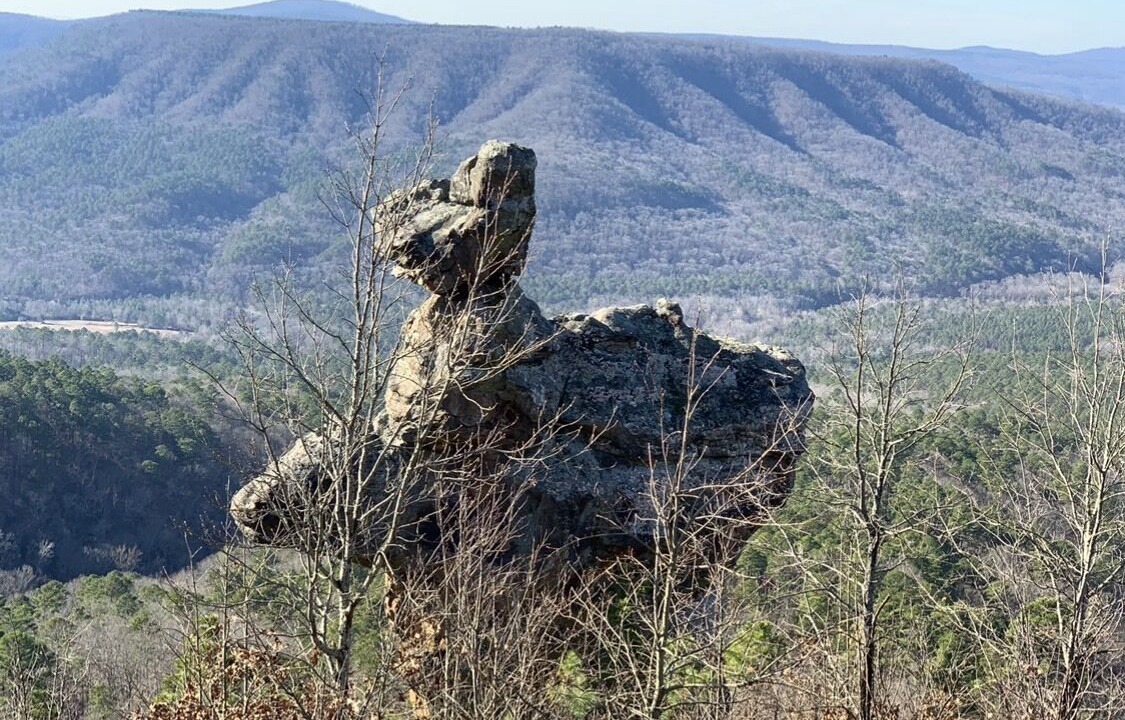Photo of Others in Clarksville