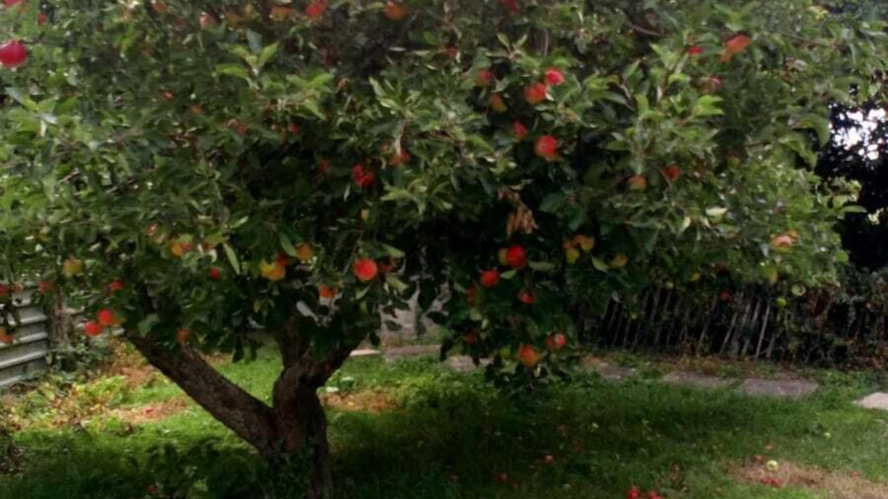 Photo of Outdoor in Spetchley