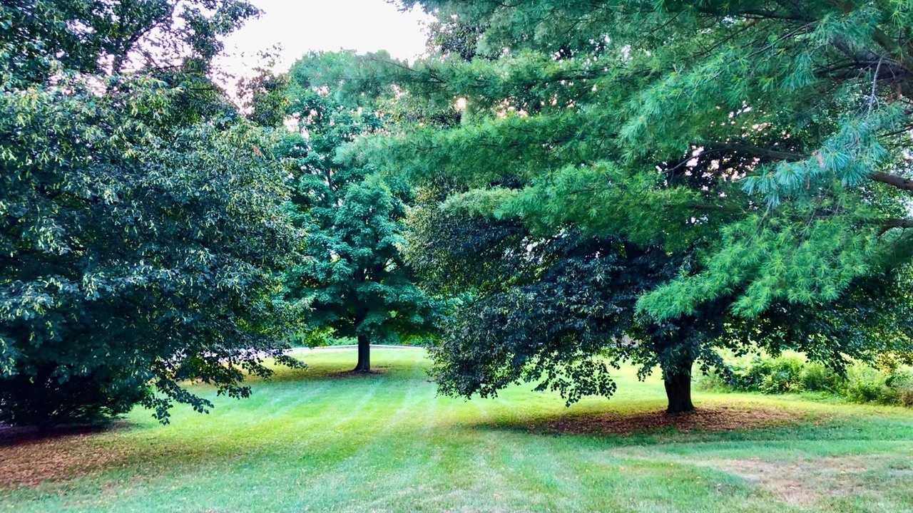 Photo of Outdoor in Sussex