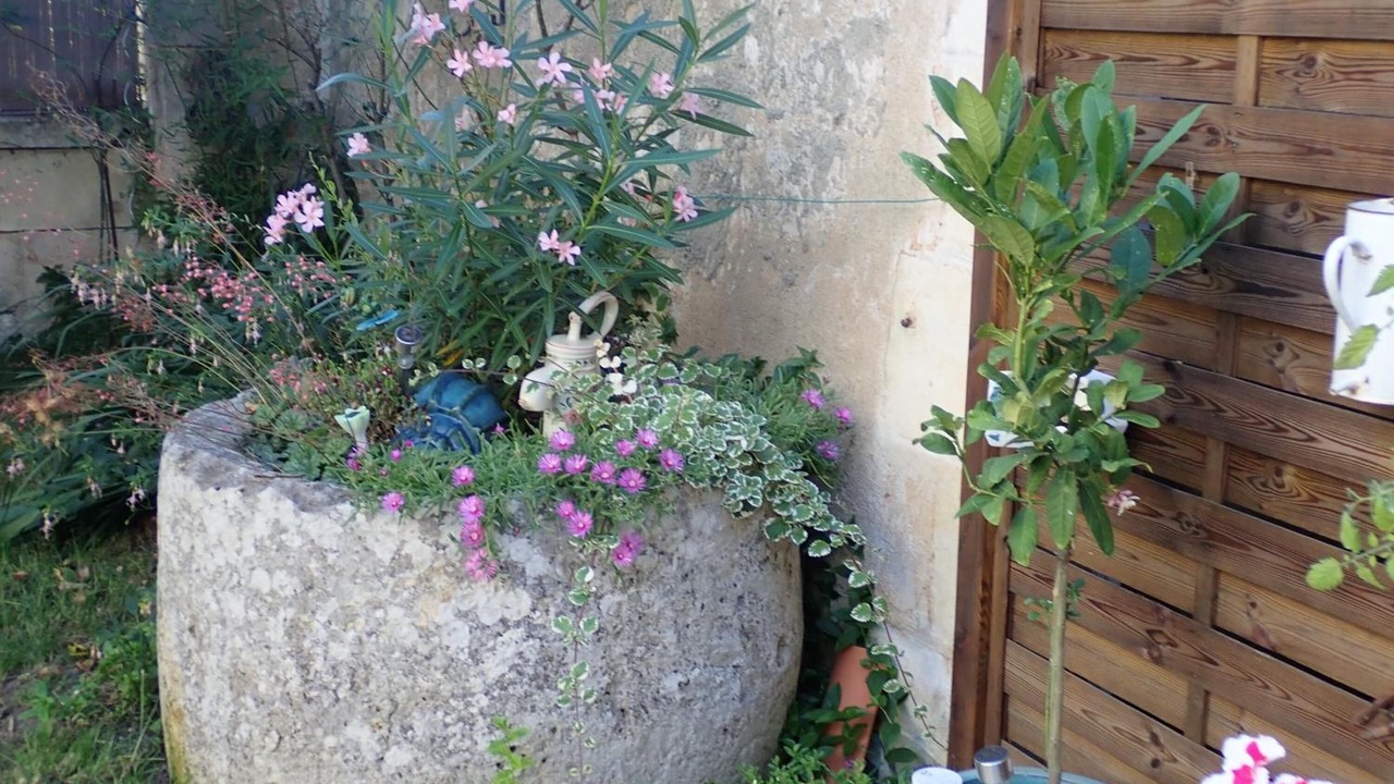 Photo of Outdoor in Mirambeau