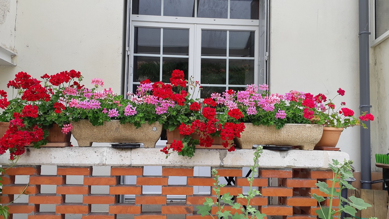 Photo of Outdoor in Mirambeau