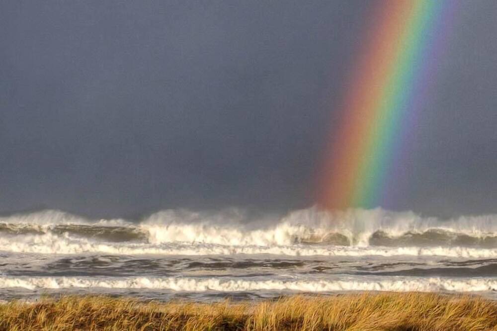 Photo of Others in Bayshore