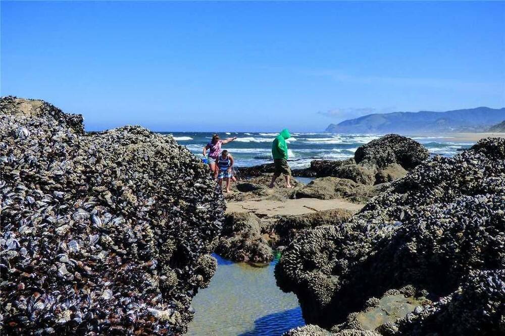 Photo of Others in Olivia Beach
