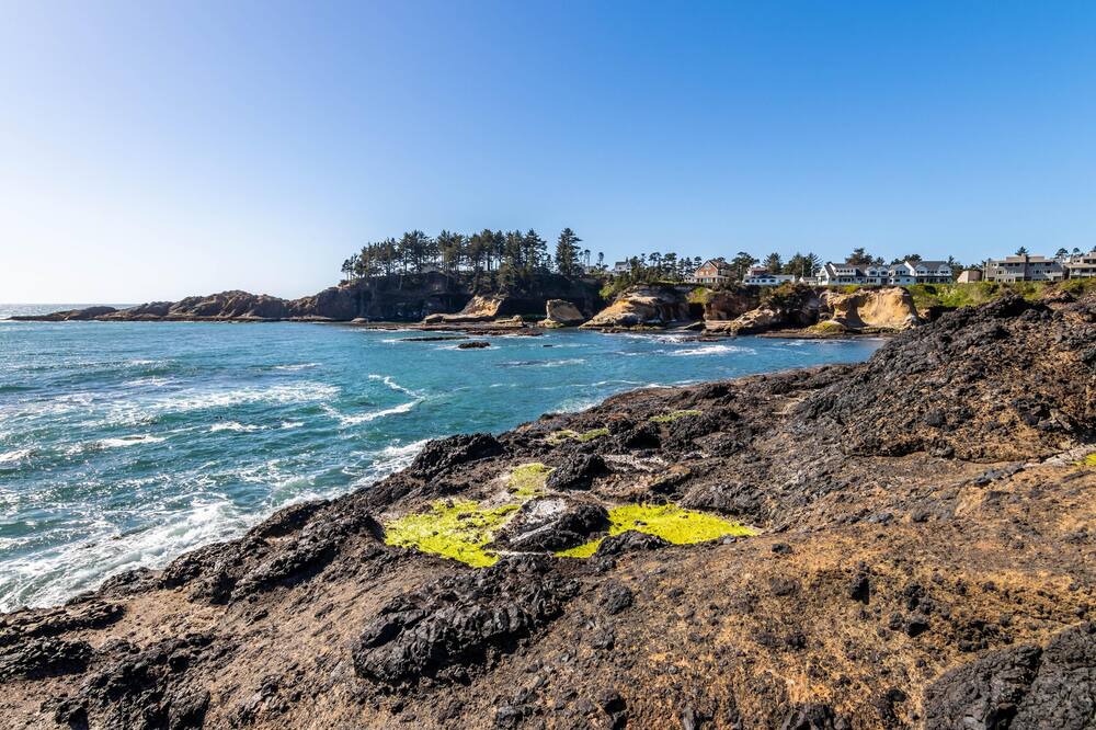 Photo of Others in Lincoln Beach