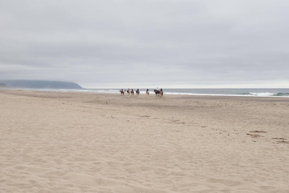 Photo of Others in Pacific City