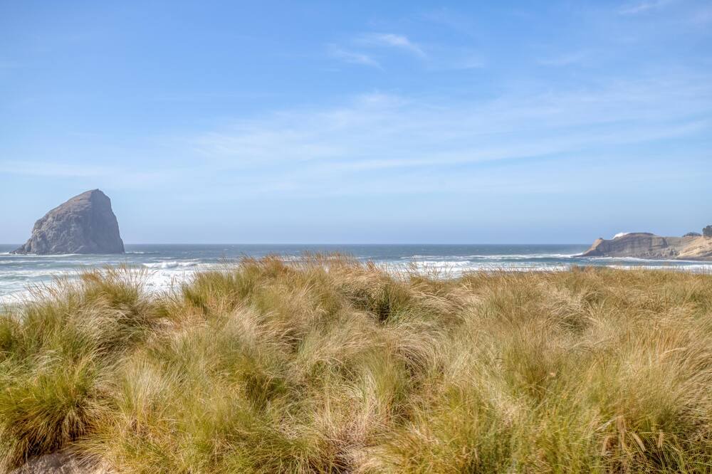 Photo of Others in Pacific City