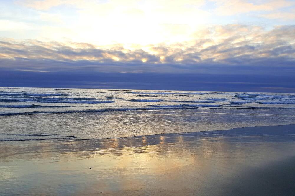 Photo of Others in Bayshore