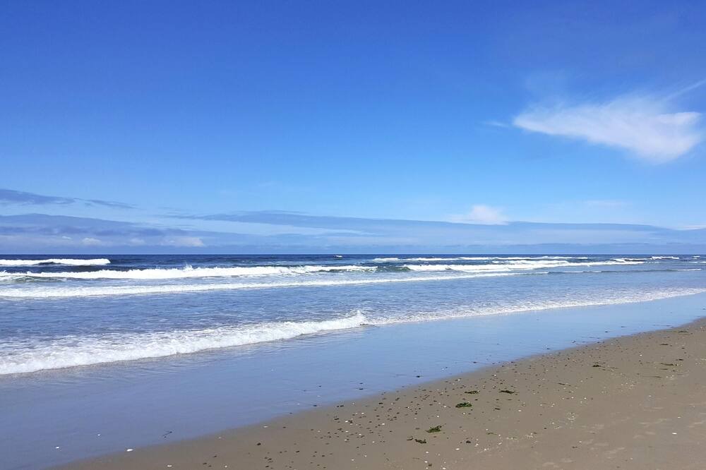 Photo of Others in Bayshore