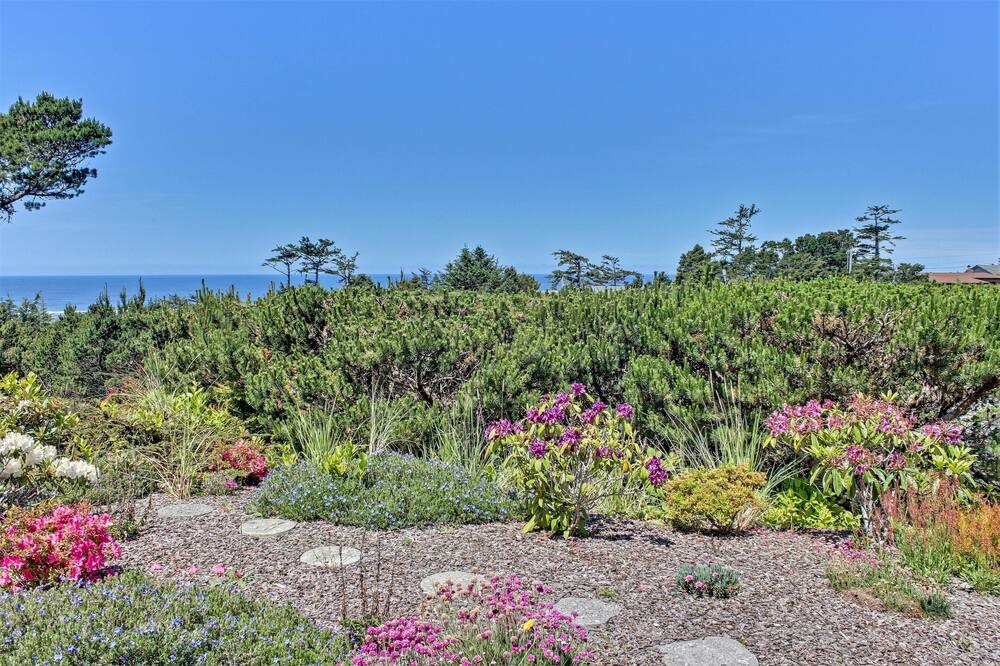 Photo of Outdoor in Bayshore