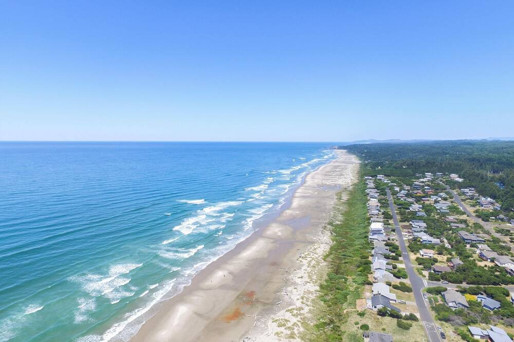 Photo of Others in Bayshore