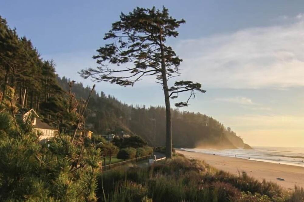 Photo of Others in Neskowin