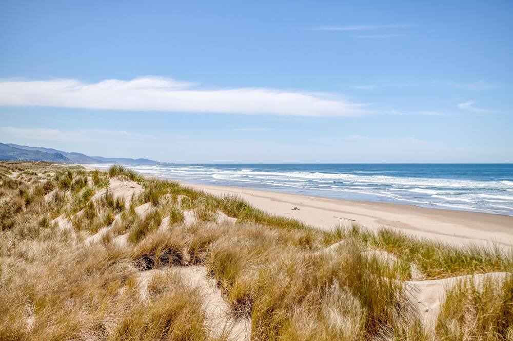 Photo of Others in Manzanita