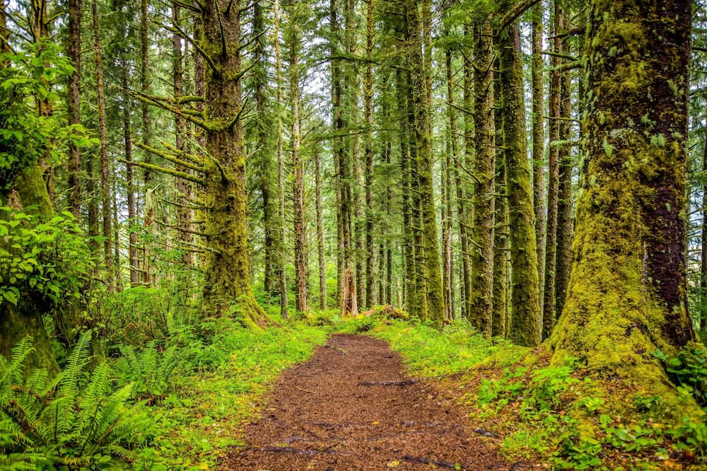 Photo of Outdoor in Roads End