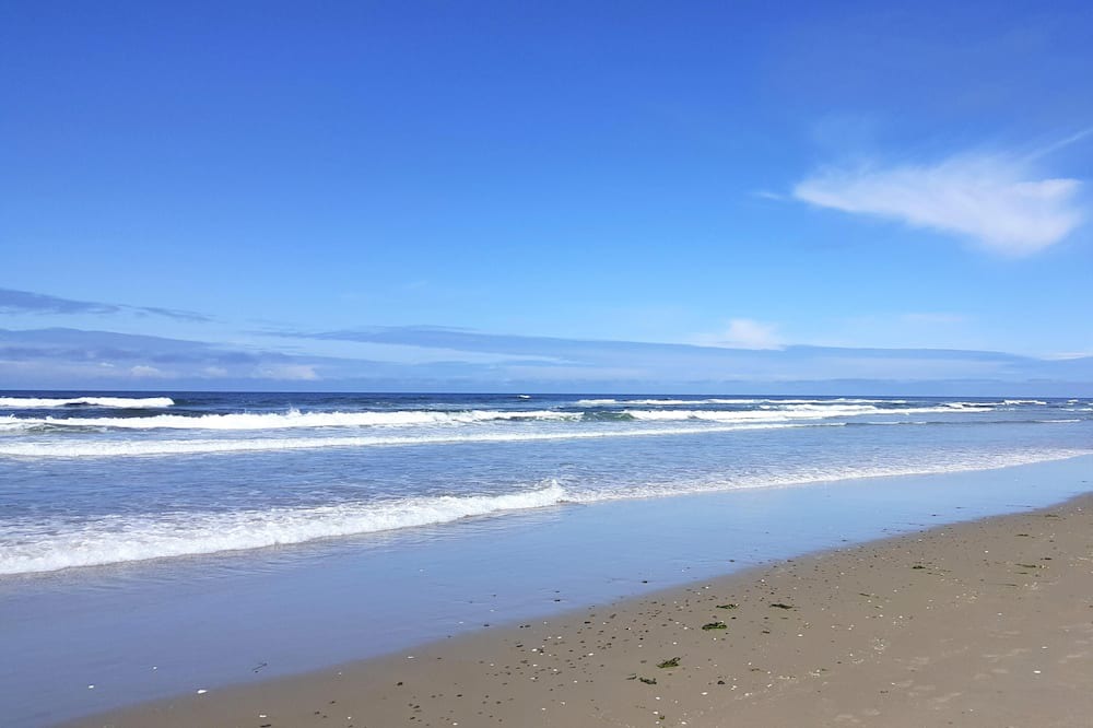 Photo of Others in South Beach