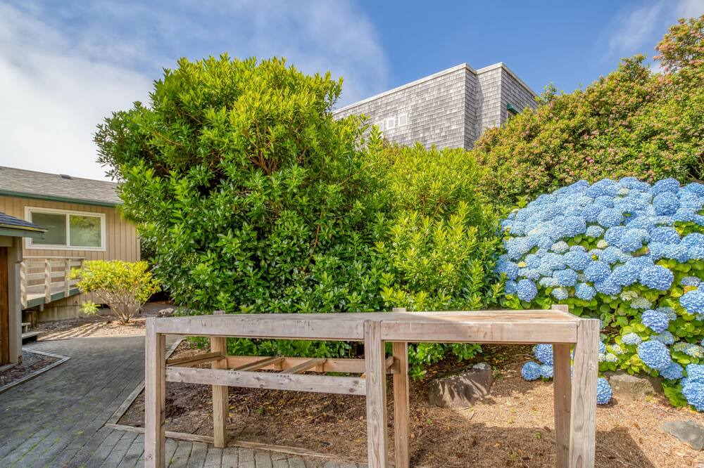 Photo of Outdoor in Yachats