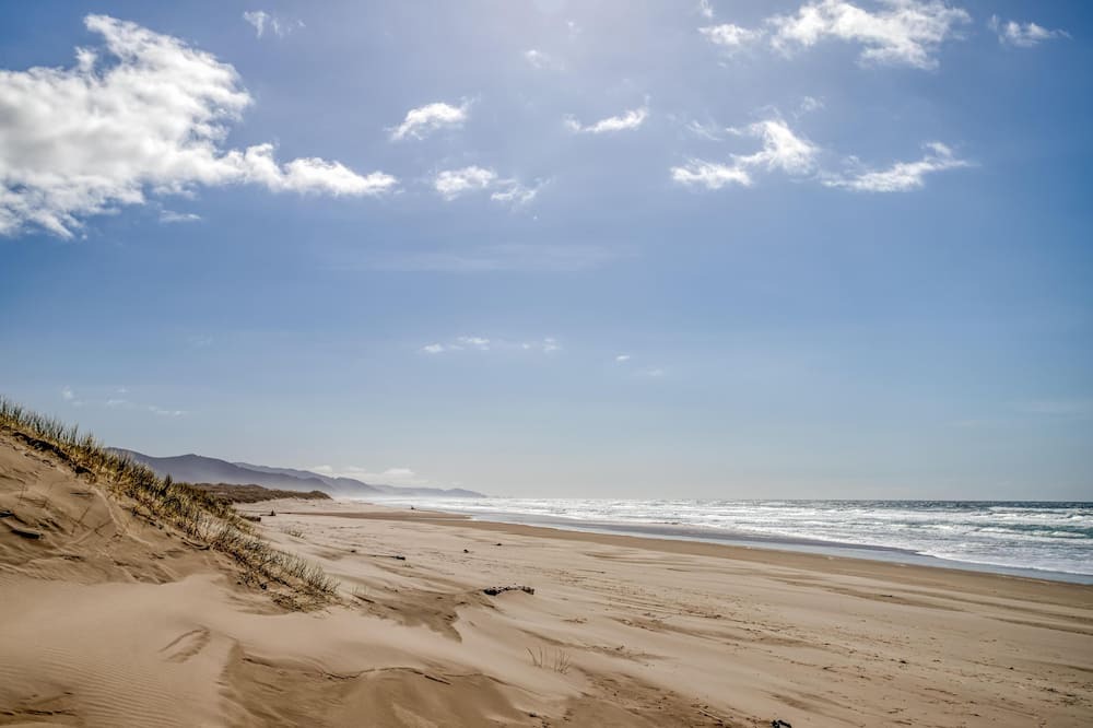 Photo of Others in Neahkahnie Beach