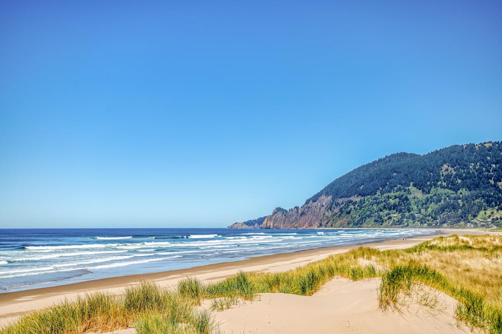 Photo of Others in Neahkahnie Beach