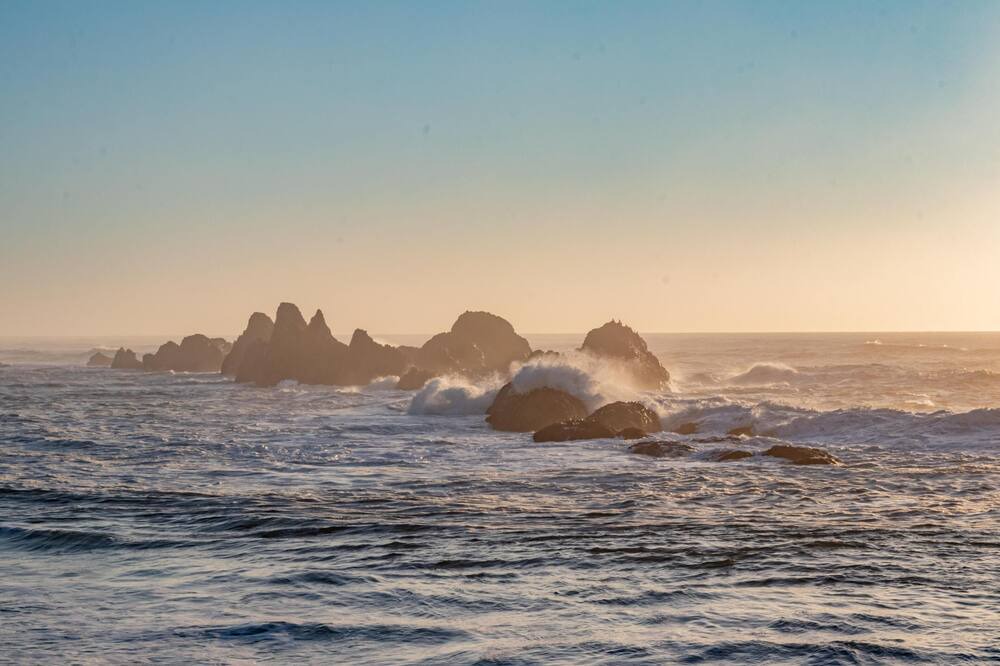 Photo of Others in Seal Rock