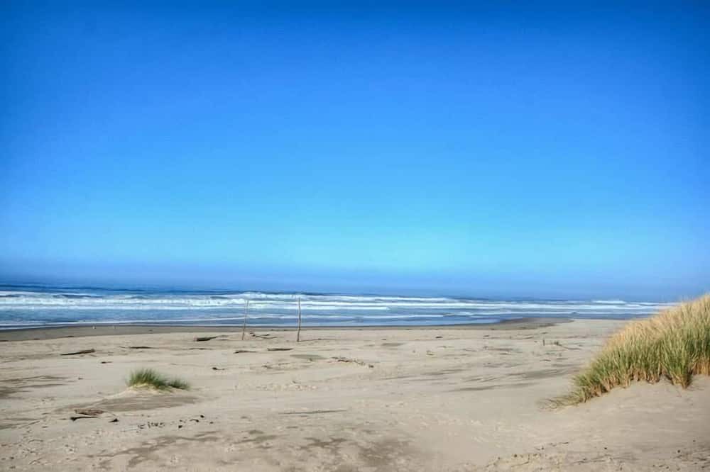 Photo of Others in Bayshore