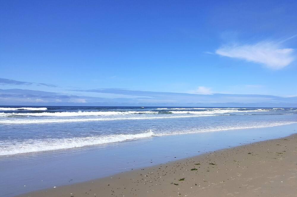 Photo of Others in Olivia Beach