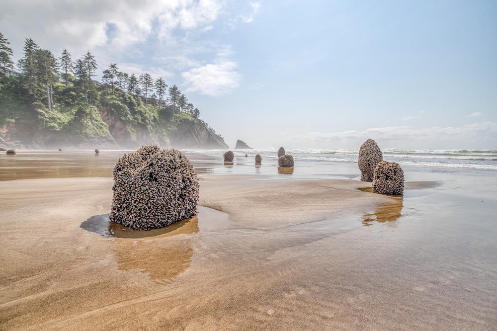 Photo of Others in Neskowin