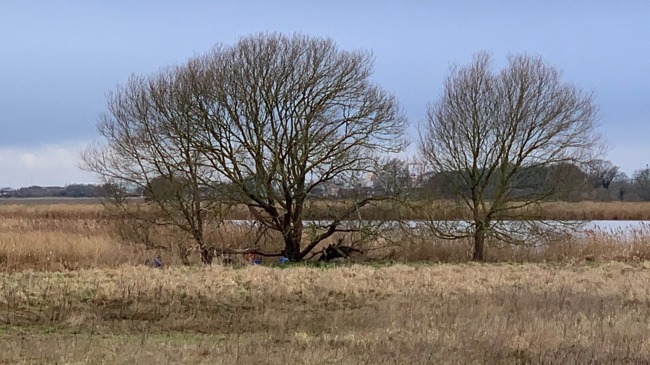 Photo of Outdoor in Goole