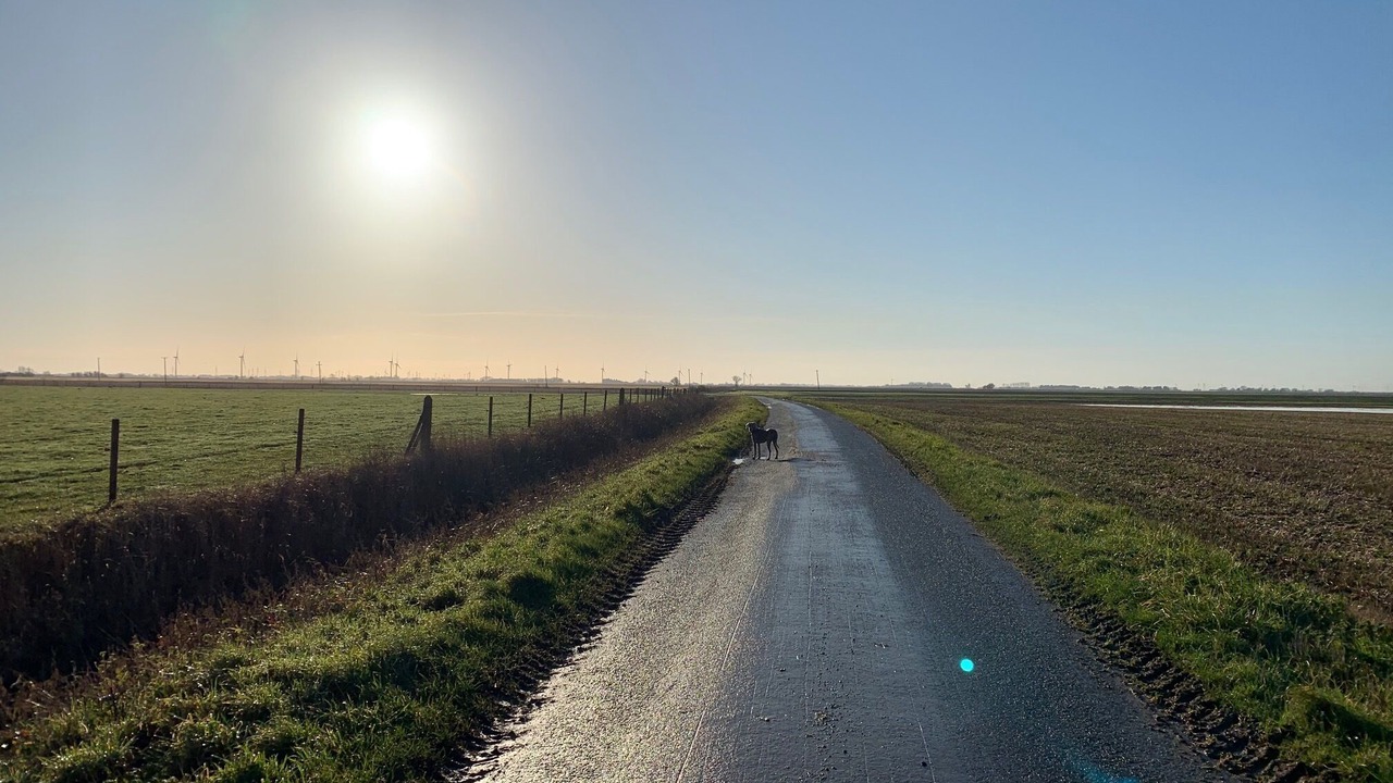 Photo of Others in Goole