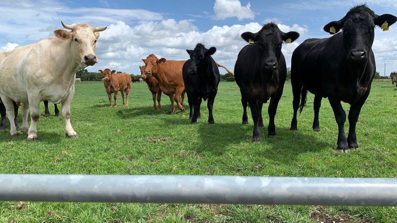 Photo of Others in Goole