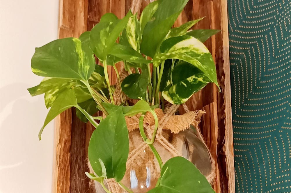 Photo of Bedroom in Saint-Jean-Saint-Germain