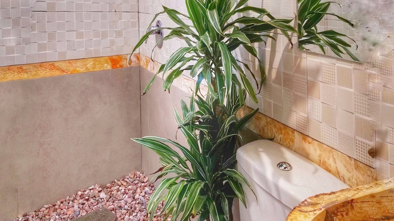 Photo of Bathroom in Padonan