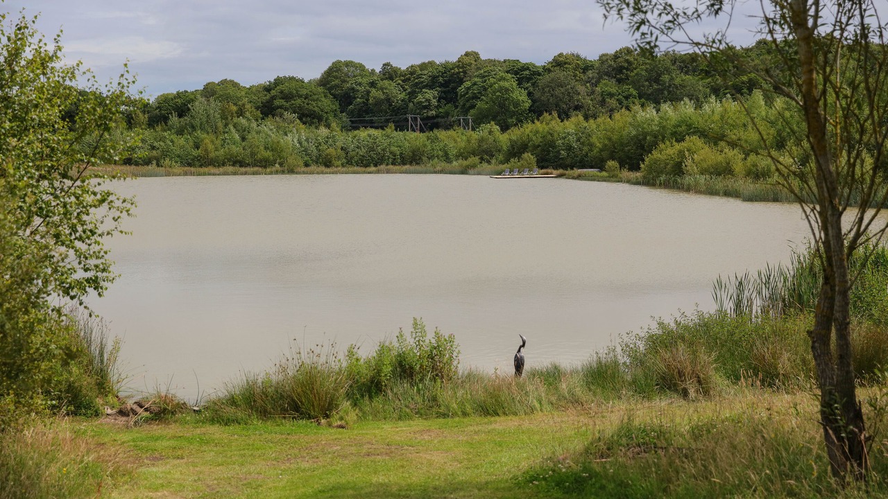 Photo of Others in Ashby-de-la-Zouch