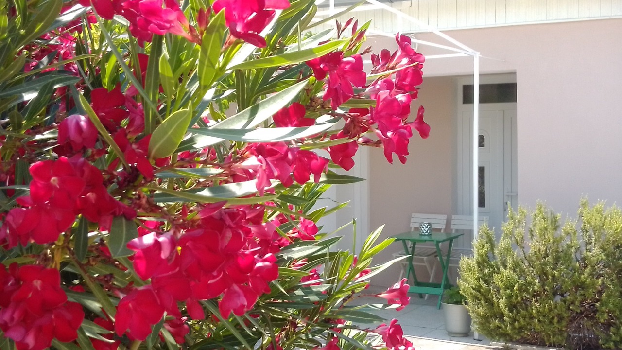 Photo of Outdoor in Jezera
