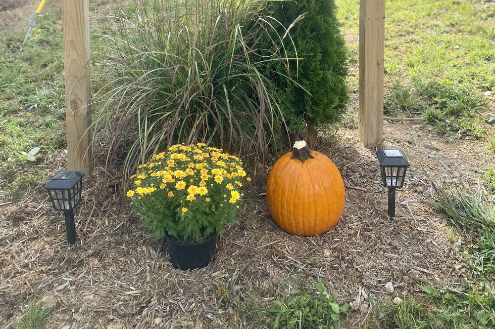 Photo of Outdoor in Ozone