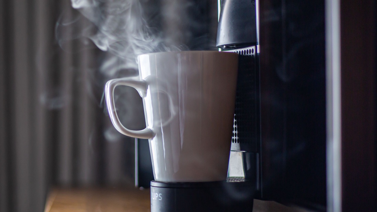 Photo of Others in Baltic Triangle