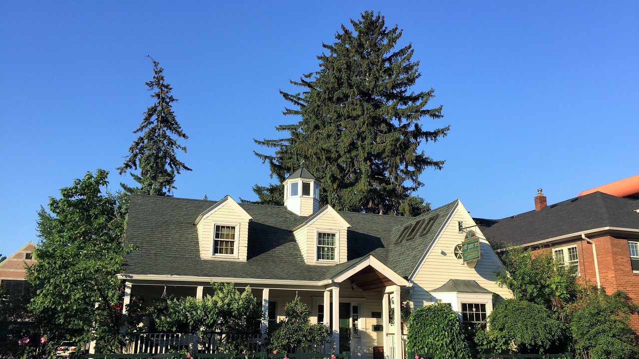 Photo of Outdoor in Grand River