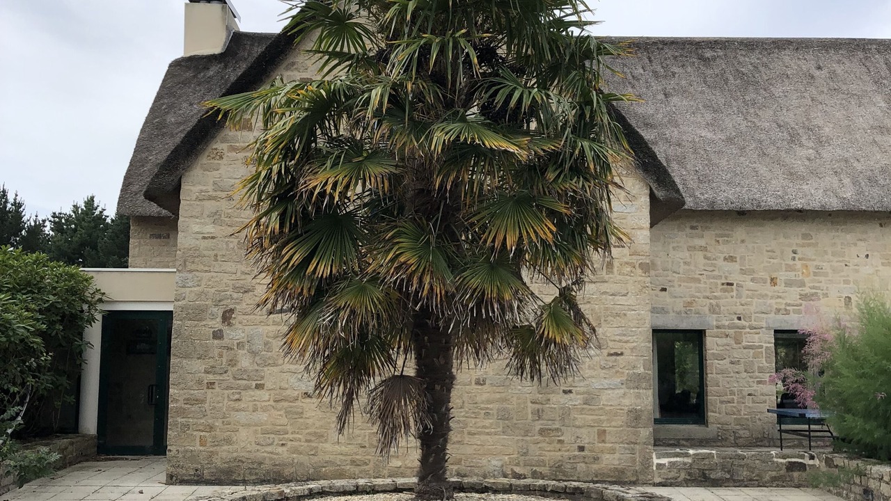 Photo of Outdoor in Saint-Andre-des-Eaux