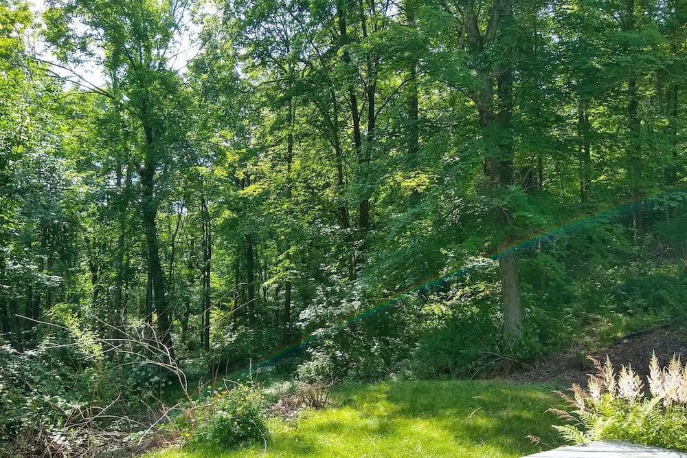 Photo of Outdoor in Falls Village