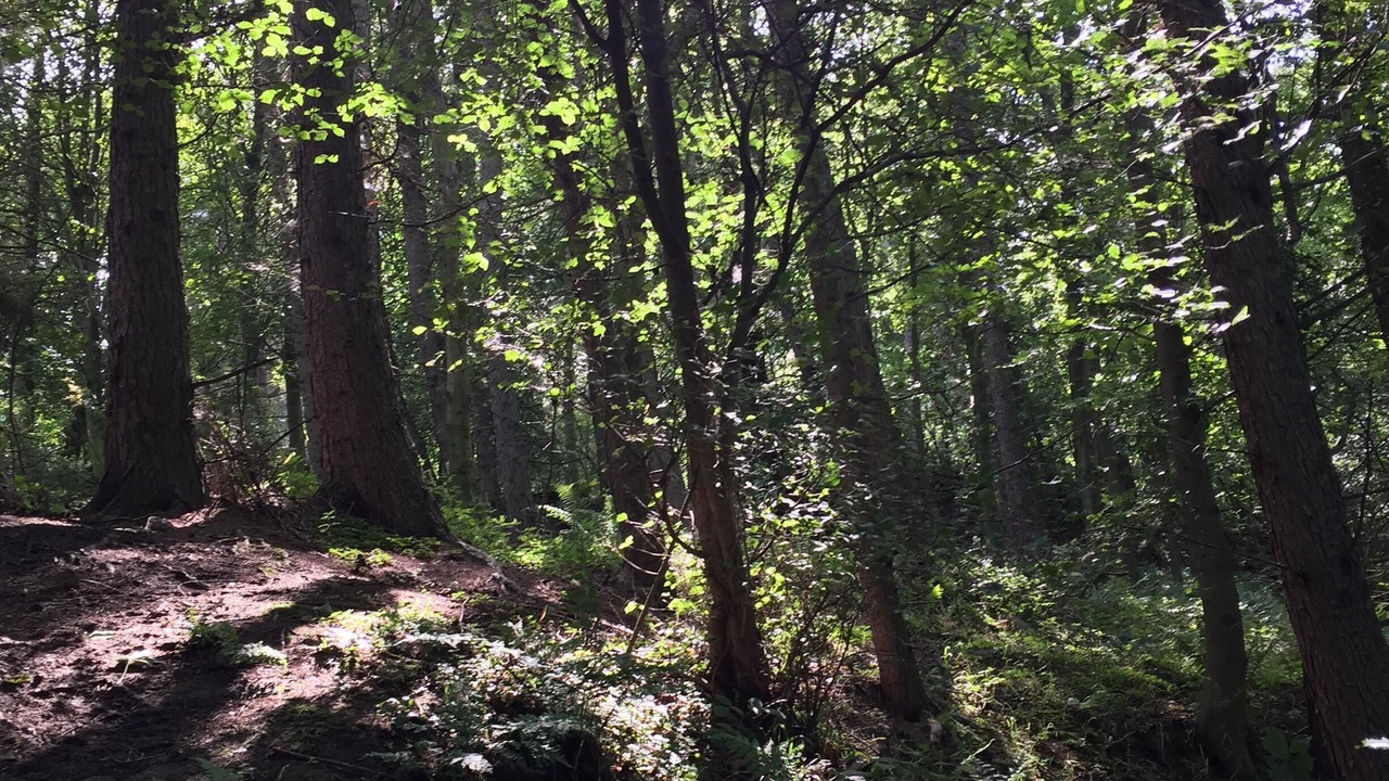 Photo of Others in Stanley