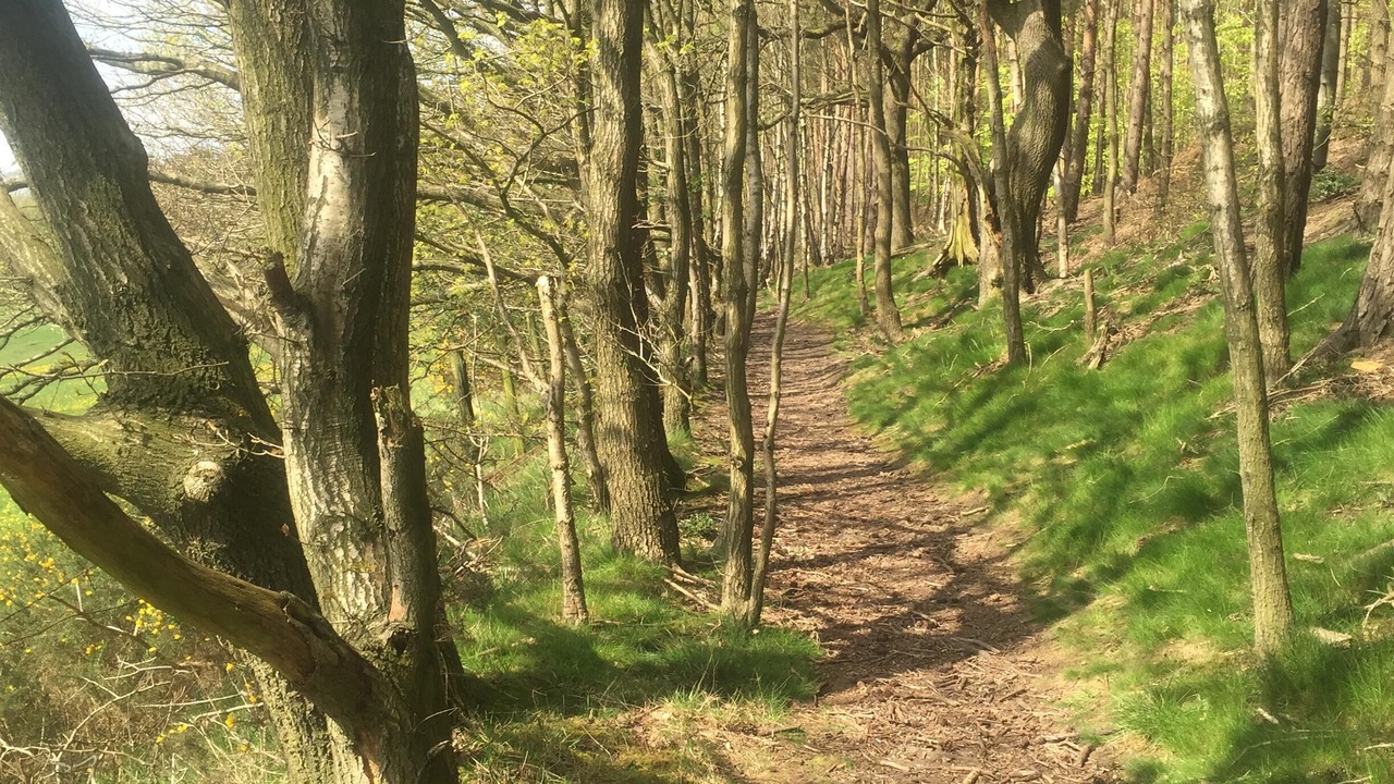 Photo of Others in Stanley