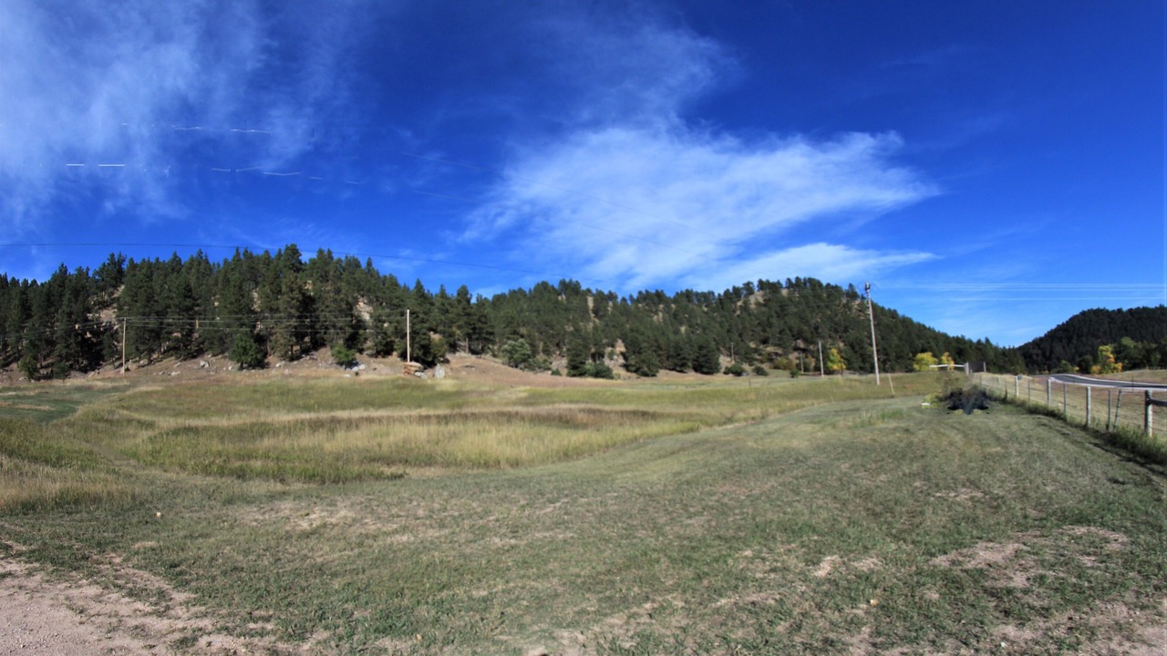 Photo of Others in Aladdin