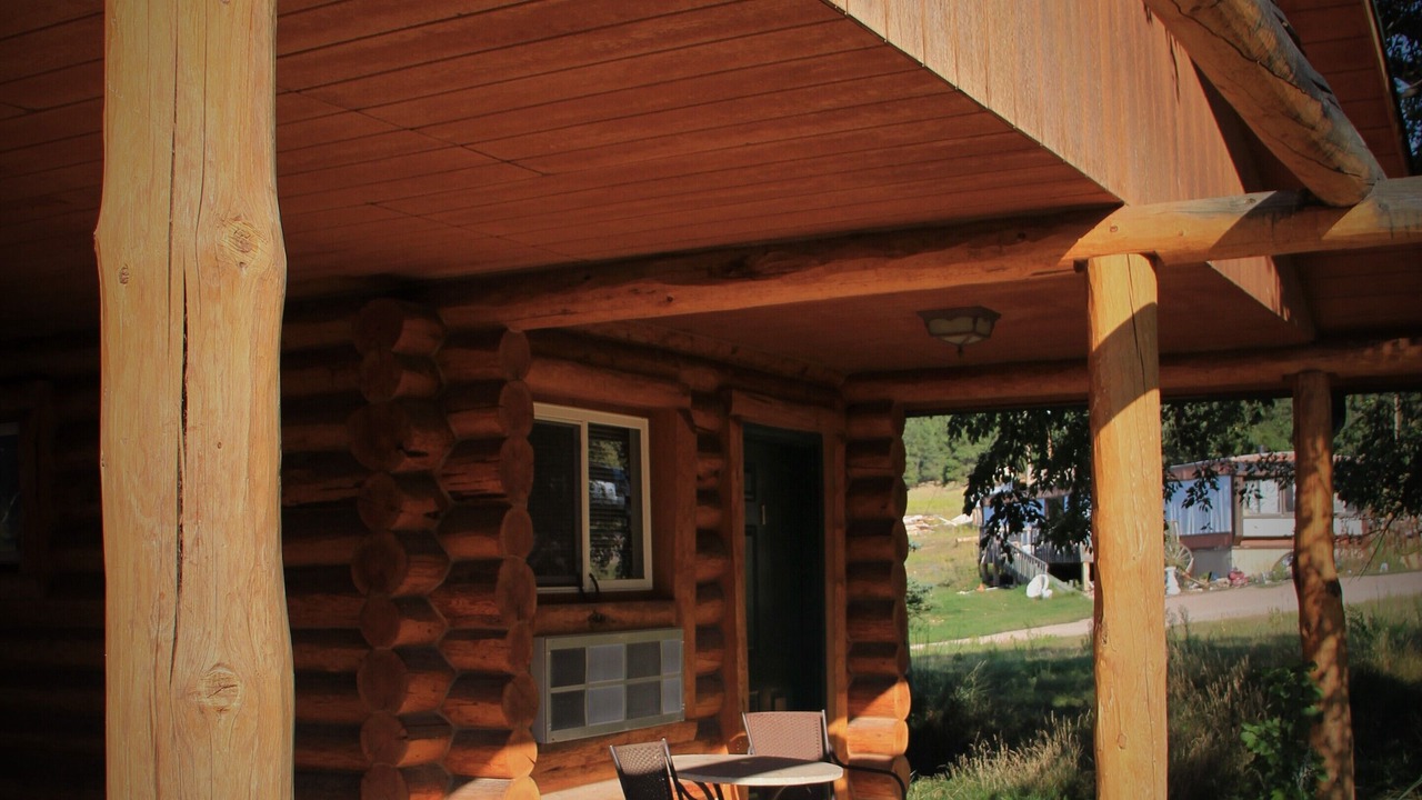 Photo of Others in Aladdin