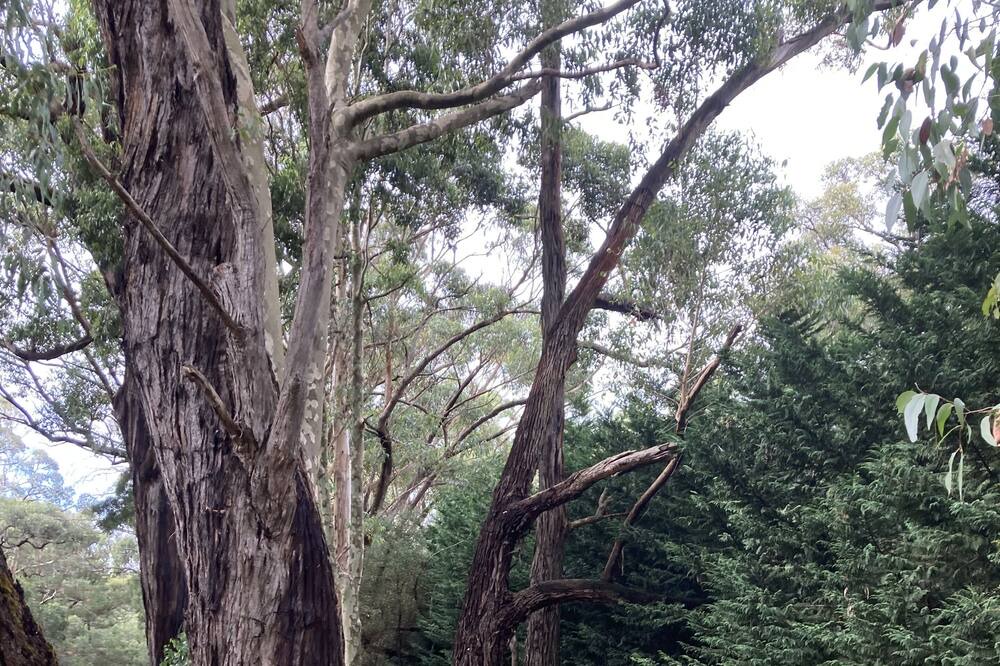 Photo of Others in Red Hill