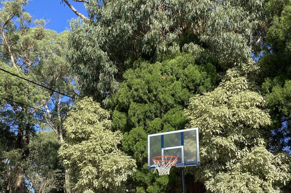 Photo of Outdoor in Red Hill