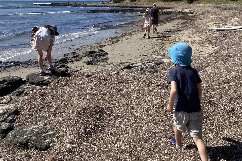 Photo of Others in Red Hill