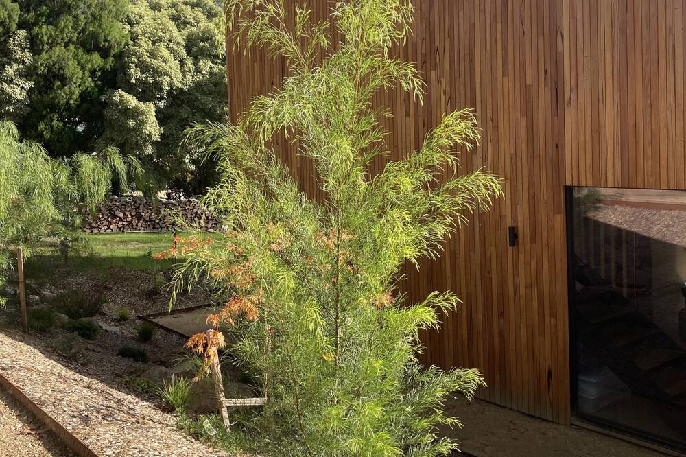 Photo of Outdoor in Red Hill