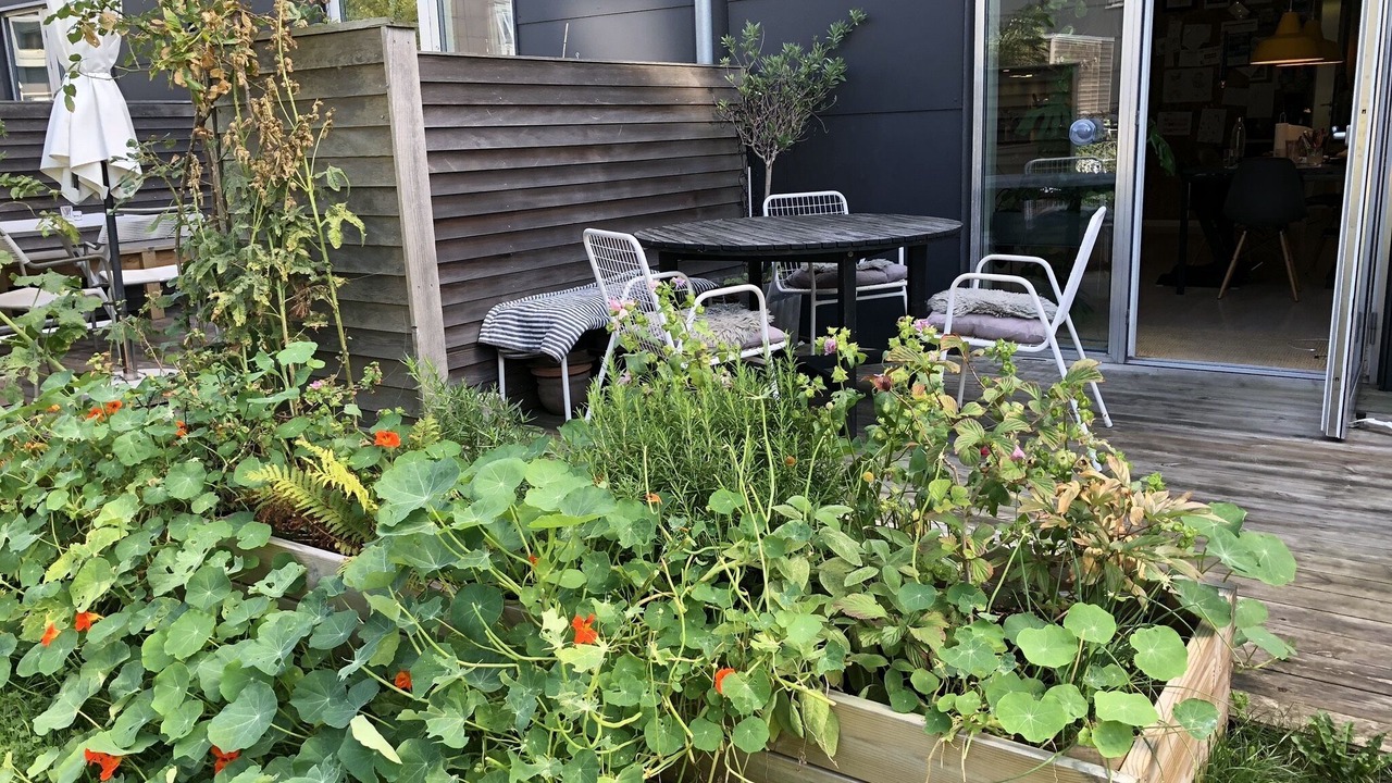 Photo of Outdoor in Copenhagen K