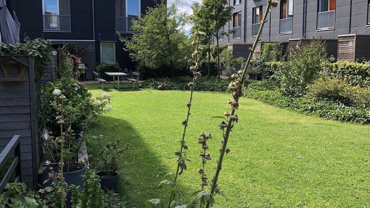 Photo of Outdoor in Copenhagen K