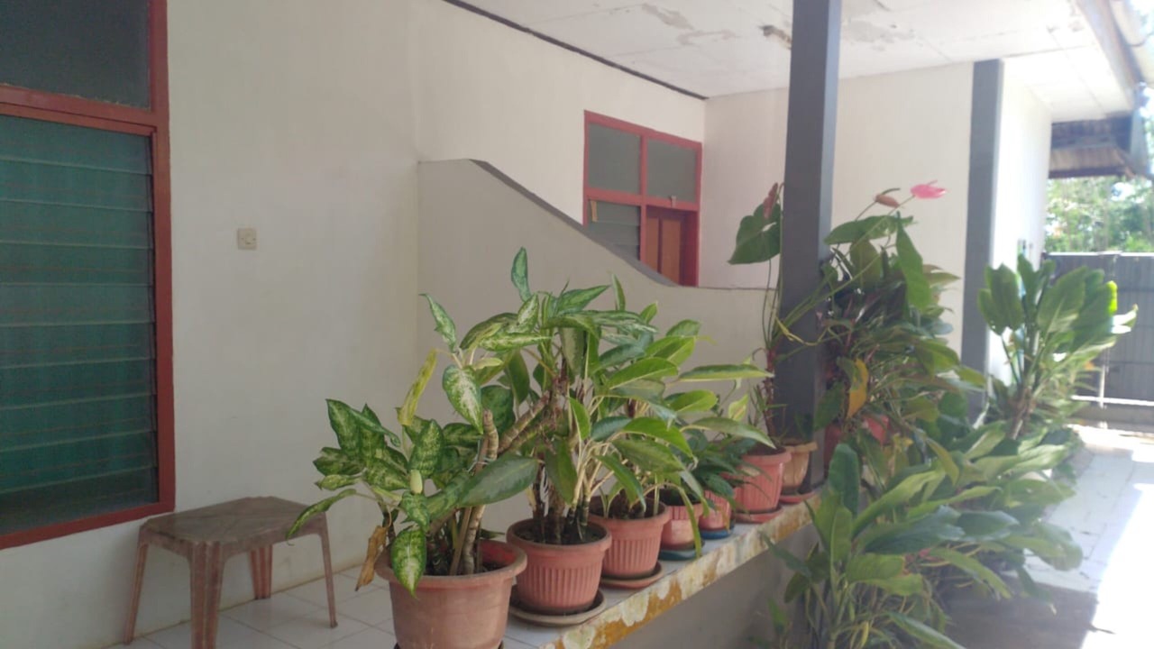 Photo of Outdoor in Malino